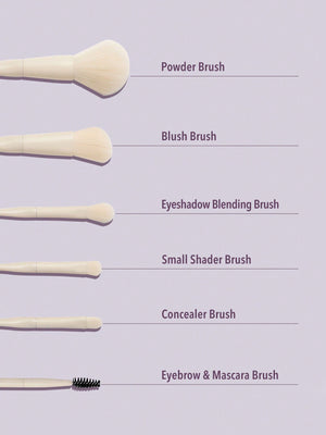 Pro Core Brush Kit